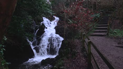 Acercándose-A-La-Cascada-Del-Bosque-Por-Los-árboles