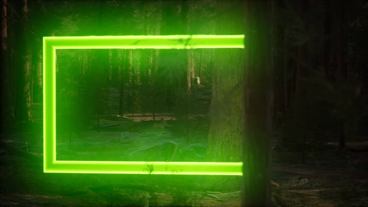 marco rectangular brillante de neón en el bosque nocturno