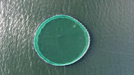 Aerial-drone-shot-of-a-fishnet-in-Iceland.-aquafarming,-day-time-sunny.-Vertical