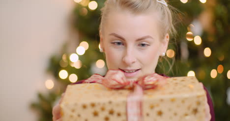 woman admiring her christmas present at home