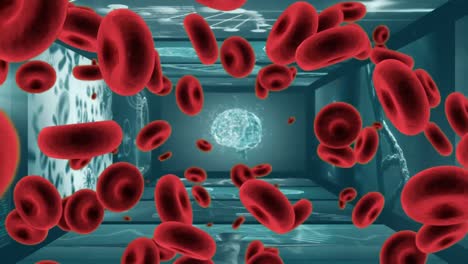 3D-red-blood-cells-floating-over-screens-of-medical-scans