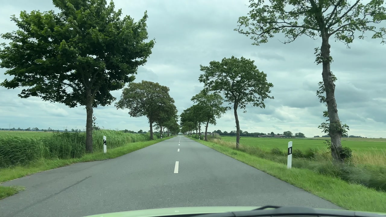 Drive along a historic tree avenue near Bremen, originally planted to line rural roads. The scene shows traditional German road planning and open countryside.