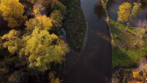 Drohnen-Fallansicht-Von-Oben-Nach-Unten-In-Einem-Park-Mit-Einem-Fluss-In-Der-Mitte