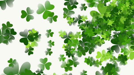 motion green shamrocks with saint patrick day 13