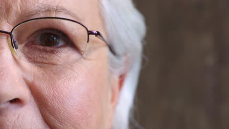 retrato en primer plano del ojo de una mujer mayor