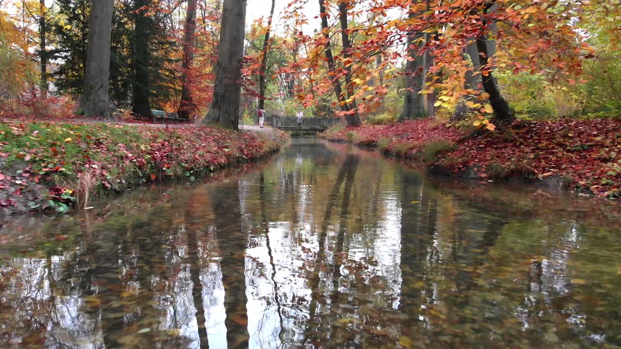 árboles de otoño de munich en el jardín inglés con un dron por la tarde y por la noche a 4k 24fps