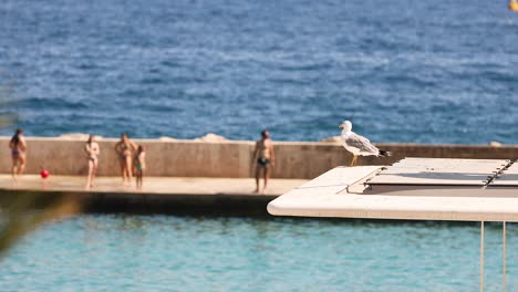 seagull perched near people by the sea