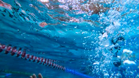 young man in a swimming pool is taking a deep breath before he dives underwater