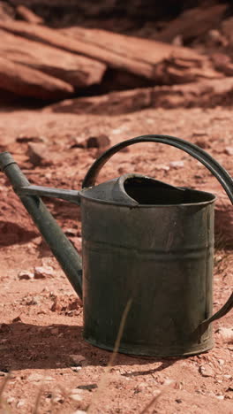 un jarro de agua en el desierto