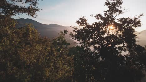 Nahaufnahme-Der-Baumwipfel,-Die-Den-Majestätischen-Sonnenaufgang-Und-Den-Atitlan-See-In-Guatemala-Aufdecken,-Luftbild