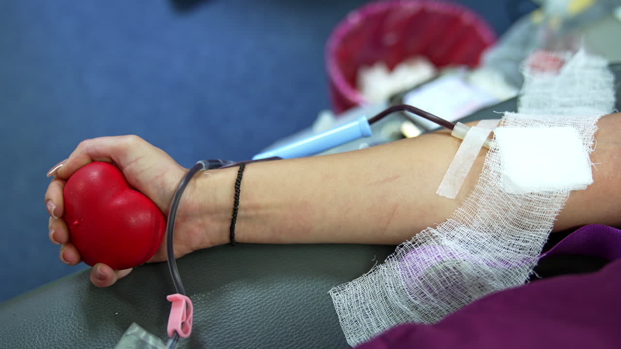 Female hand slowly squeezing the red rubber heart. Catheter tube filled with blood is attached to the donor's arm. Close up.