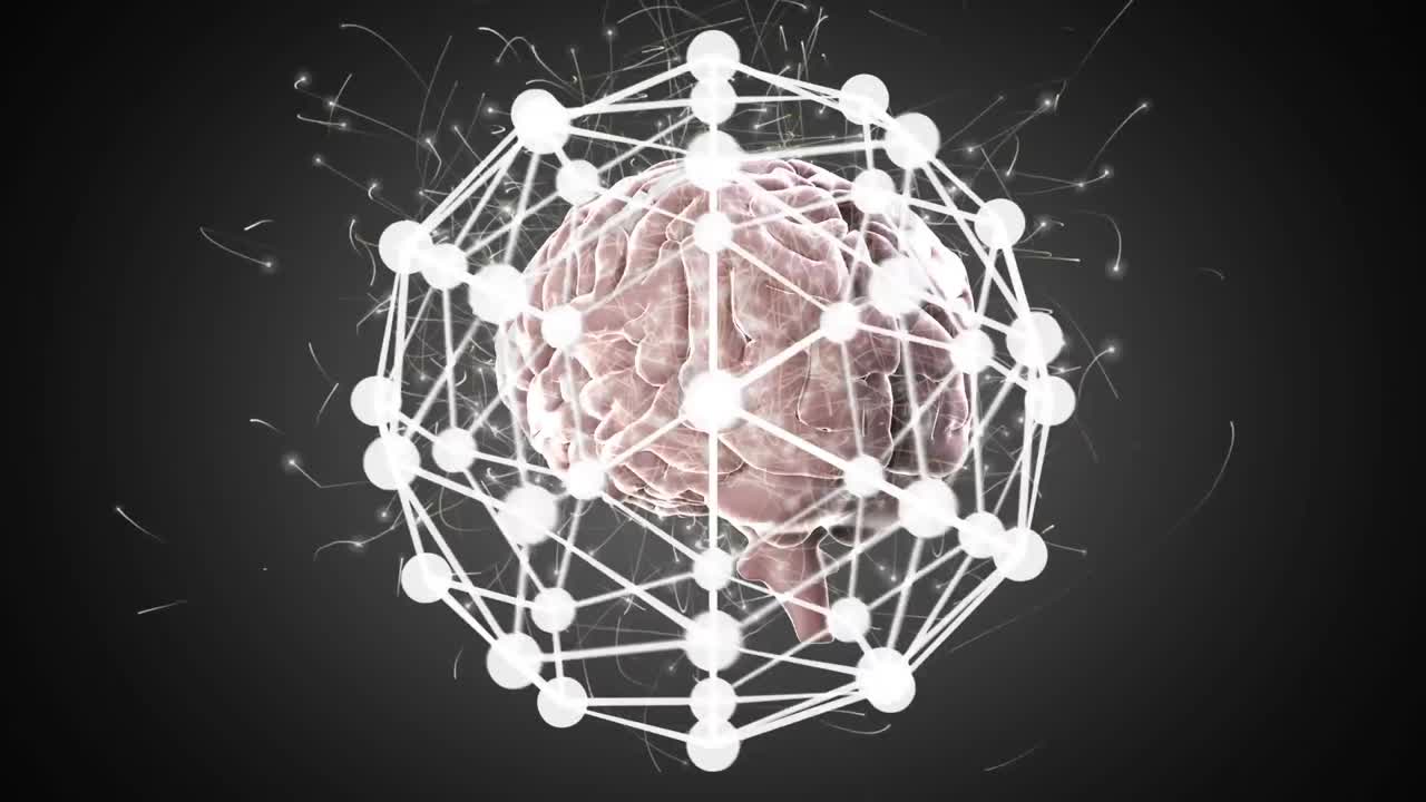 animación digital del globo de la red de conexiones contra el cerebro humano girando sobre un fondo gris
