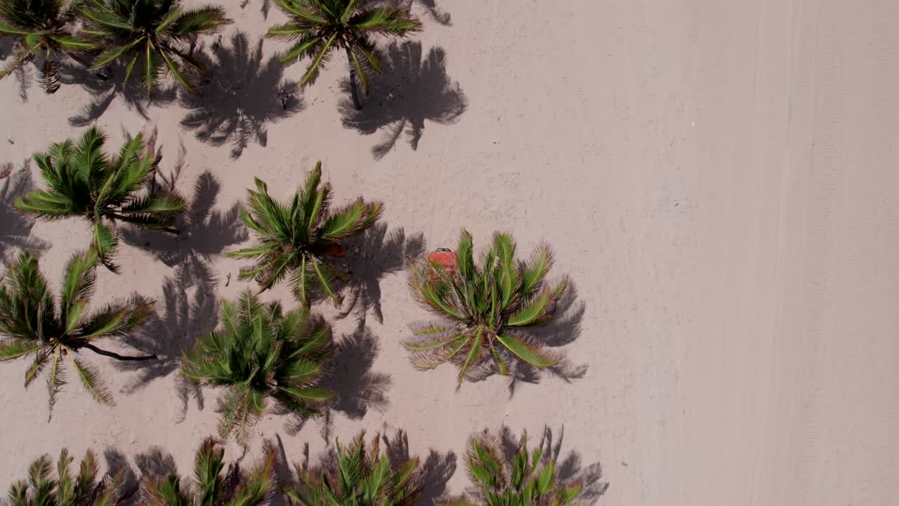 An orange dune buggy weaving through palm trees on the white sand of Brazil
