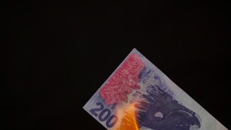 close-up of a burning argentinian 200 pesos bill illustrating the rising cost of living