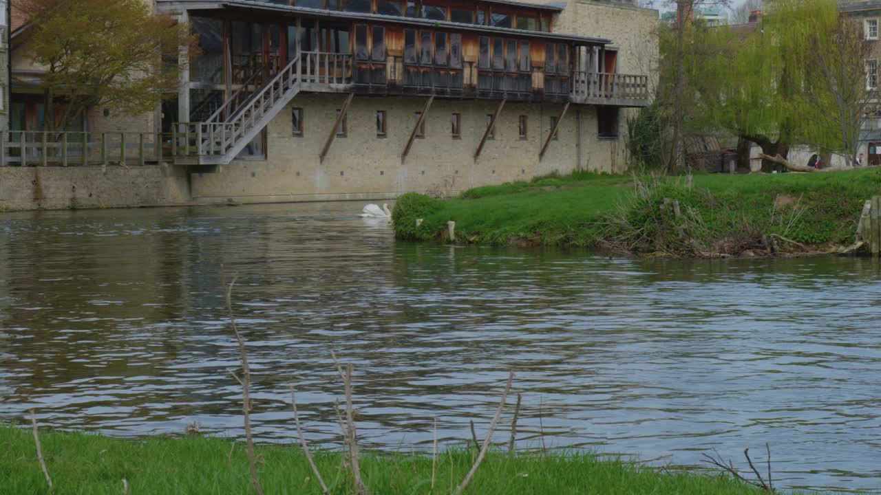 건물 과 집 앞 에서 조용 히 떠다니는 백조 와 함께 조용 한 강 장면