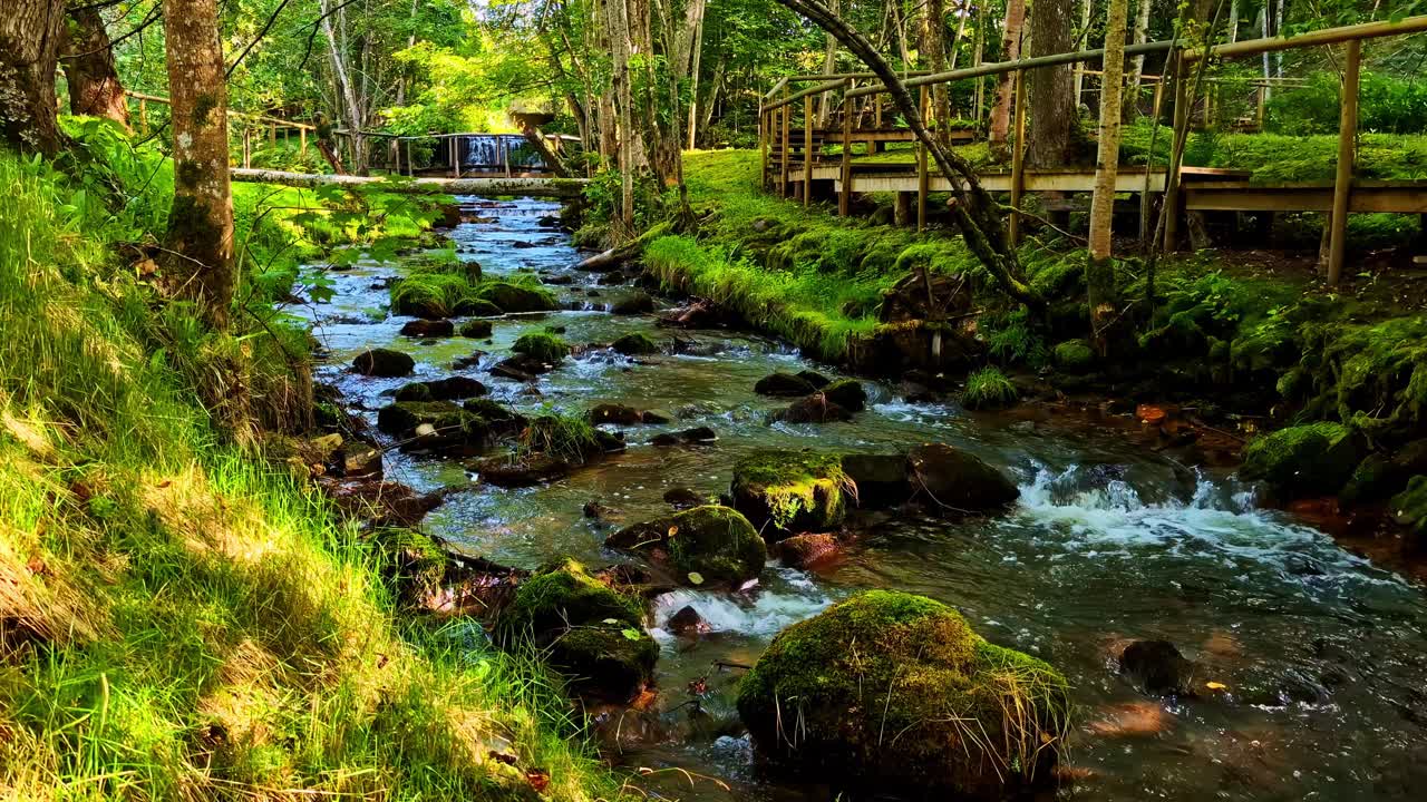 Forest Stream Flowing Through Mossy Rocks With Wooden Walkway in Background