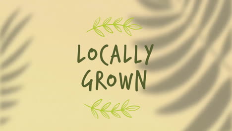 animación de texto cultivado localmente sobre sombra de hojas sobre fondo beige