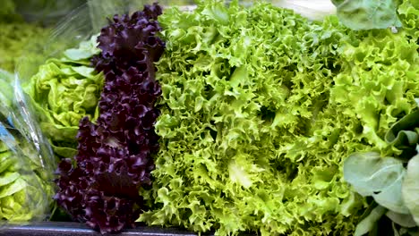 different kinds of fresh lettuces on display for sale at free fair