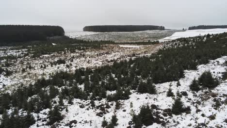 aérea nevando invierno silvicultura paisaje coníferas cuento de hadas blanco nieve paisaje forestal creciente pan izquierda