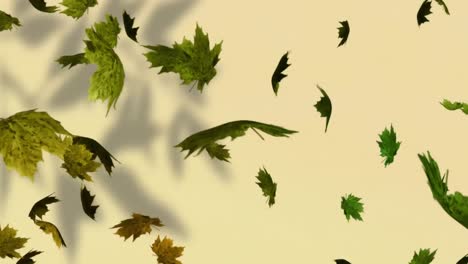 Animation-of-floating-leaves-over-shadow-and-beige-background
