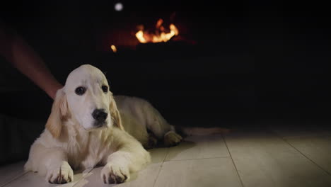 Dueño-De-Una-Mascota-Y-Un-Lindo-Cachorro-De-Golden-Retriever-Descansando-Cerca-De-Una-Chimenea-Encendida