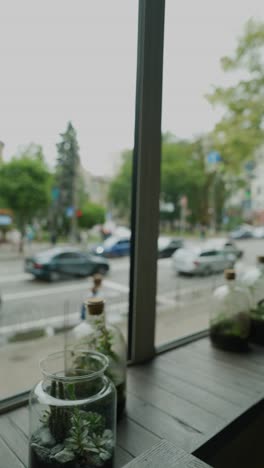 city view from a cozy cafe window with terrariums