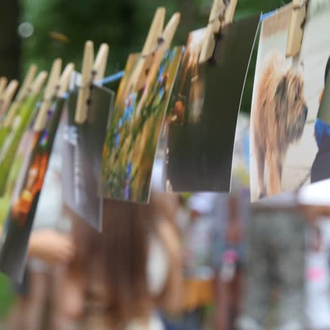 photos hanging on a rope