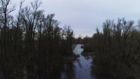 Drone-shot-of-swamp-like-area-with-trees