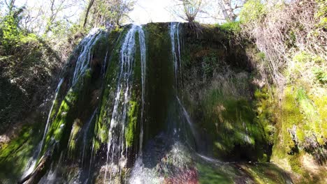 este metraje captura la esencia de la tranquilidad natural, invitando a los espectadores a sumergirse en el ambiente pacífico del bosque.