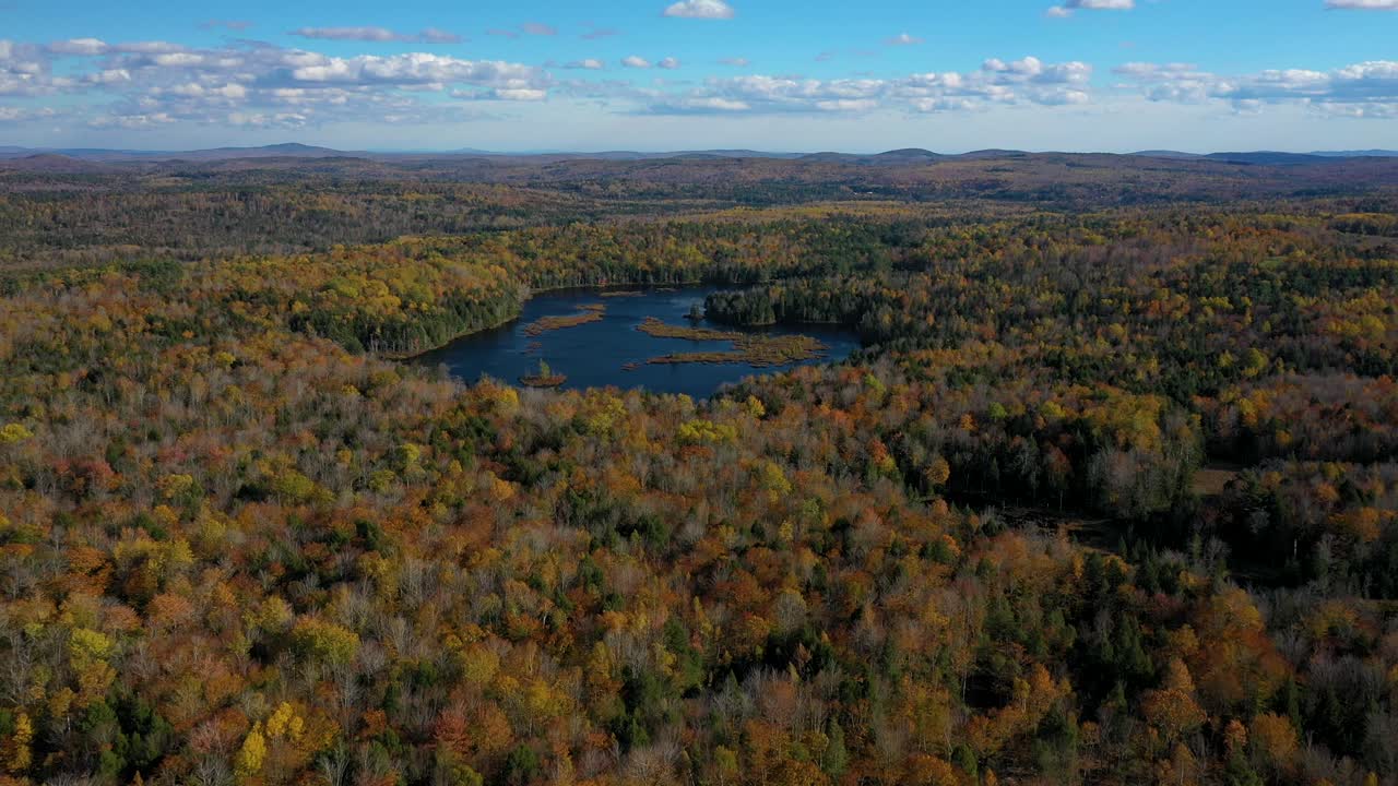 imágenes aéreas volando hacia un estanque en un bosque de finales de otoño