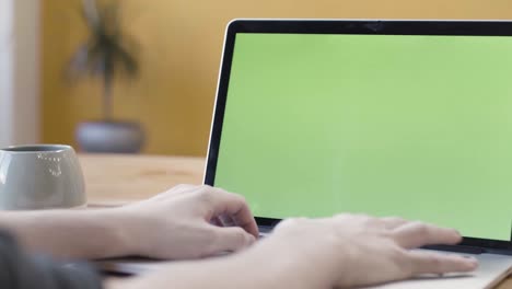 person typing on laptop with green screen