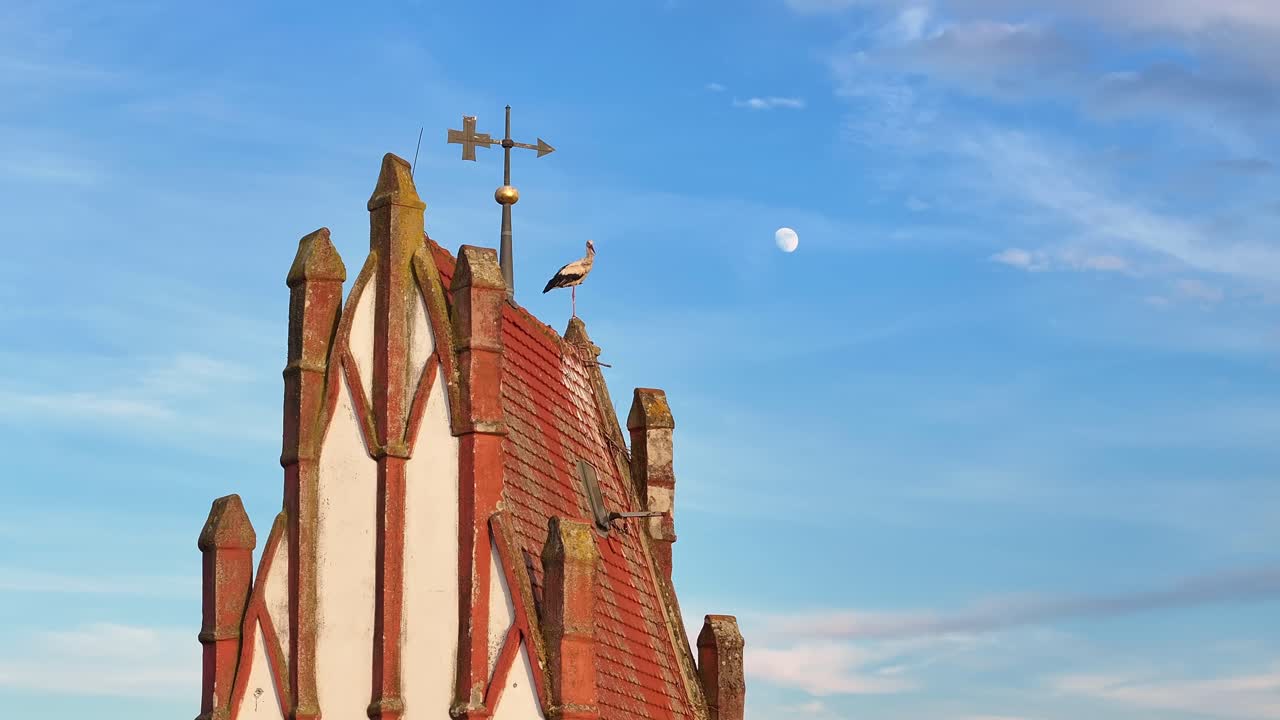Stork on Church Roof with Moon in the Sky