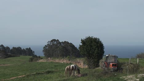 Das-Leben-Auf-Dem-Bauernhof-In-Asturien:-Traktor-Bringt-Heu-Für-Pferde-Und-Kühe,-Vor-Malerischer-Kulisse-Das-Meer