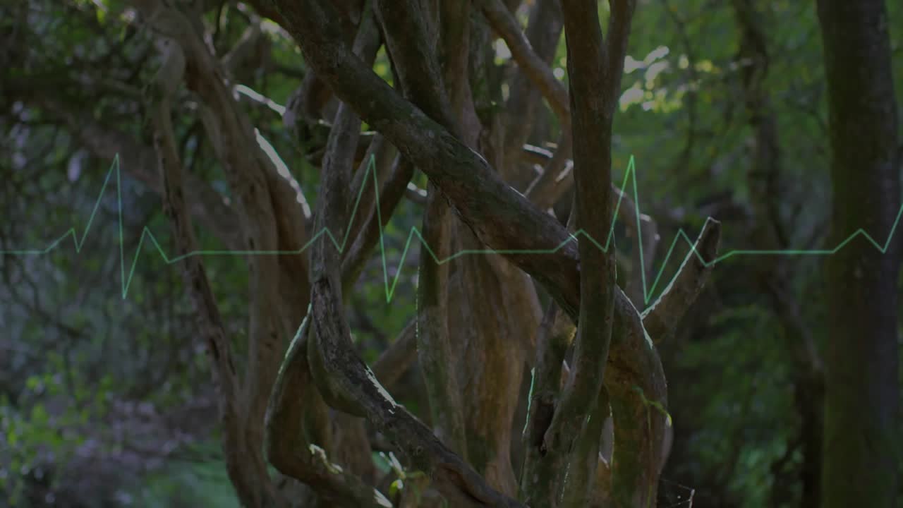 Green waveform drifting from left over forest roots and pulsing rightward visualizing data flow