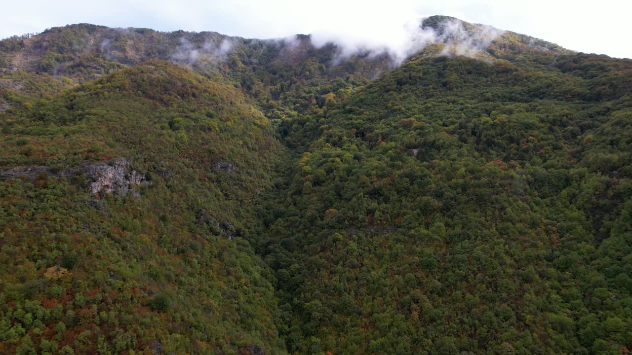 paisaje montañoso después de la lluvia con árboles forestales y niebla en la temporada de otoño