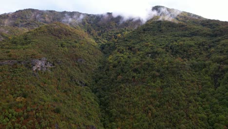 Mountain-landscape-after-the-rain-with-forest-trees-and-fog-at-Autumn-season