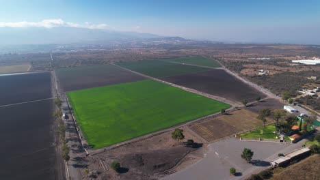 vasta vista aérea de tierras verdes abiertas de granjas de ajo y espárragos en méxico