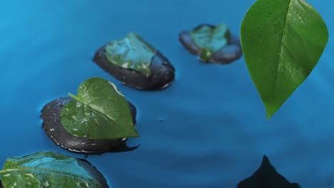 caída en el agua azul. piedras negras con hojas verdes en el agua.