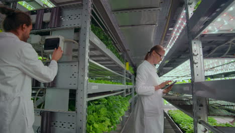 dos agrónomos con abrigos blancos en una moderna instalación de producción de verduras