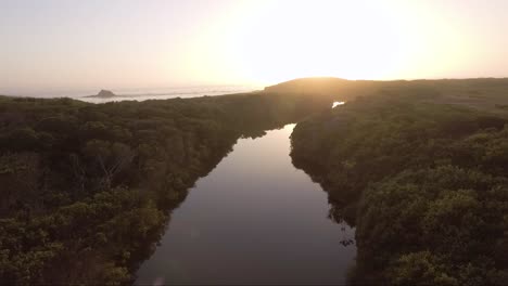 birds fly over calm stream at the coast