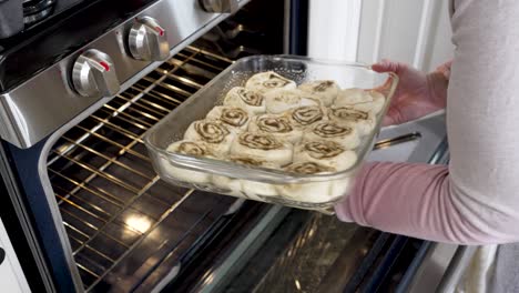 placing a pan of raw cinnamon rolls into a warming oven to raise and then bake