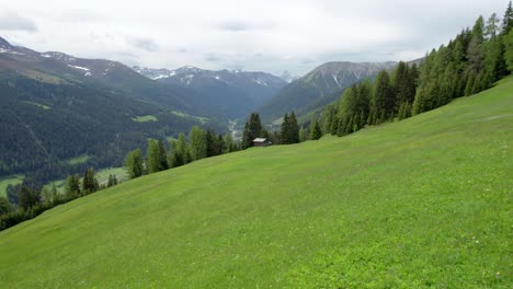 Drohnenaufnahmen-Aus-Der-Luft,-Die-Im-Frühling-In-Voller-Blüte-In-Der-Nähe-Einer-Alpenwiese-In-Richtung-Einer-Schweizer-Alpenblockhütte-Und-Einem-Wald-Aus-Grünen-Nadelbäumen-Und-Bergen-Im-Hintergrund-Fliegen