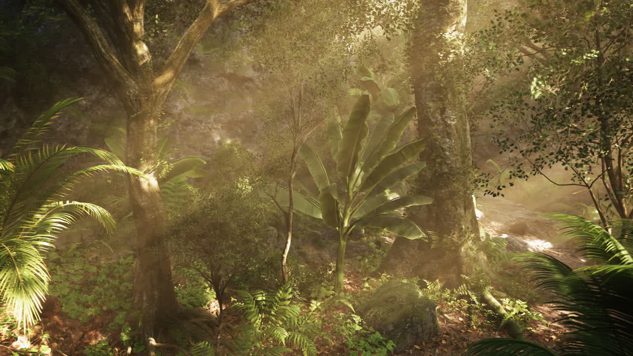 Sunlight filters through dense foliage in a serene rainforest landscape