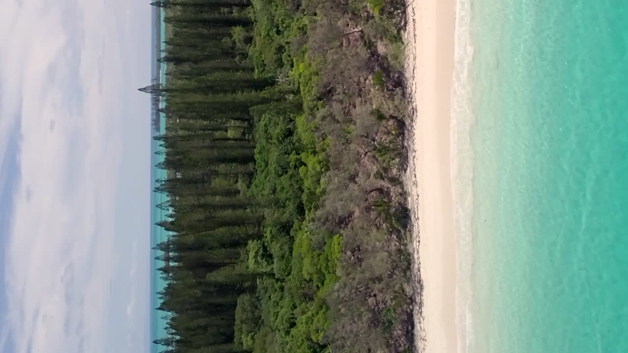 Beautiful Isle of Pines beach, Columnar Pine trees, vertical video aerial rise