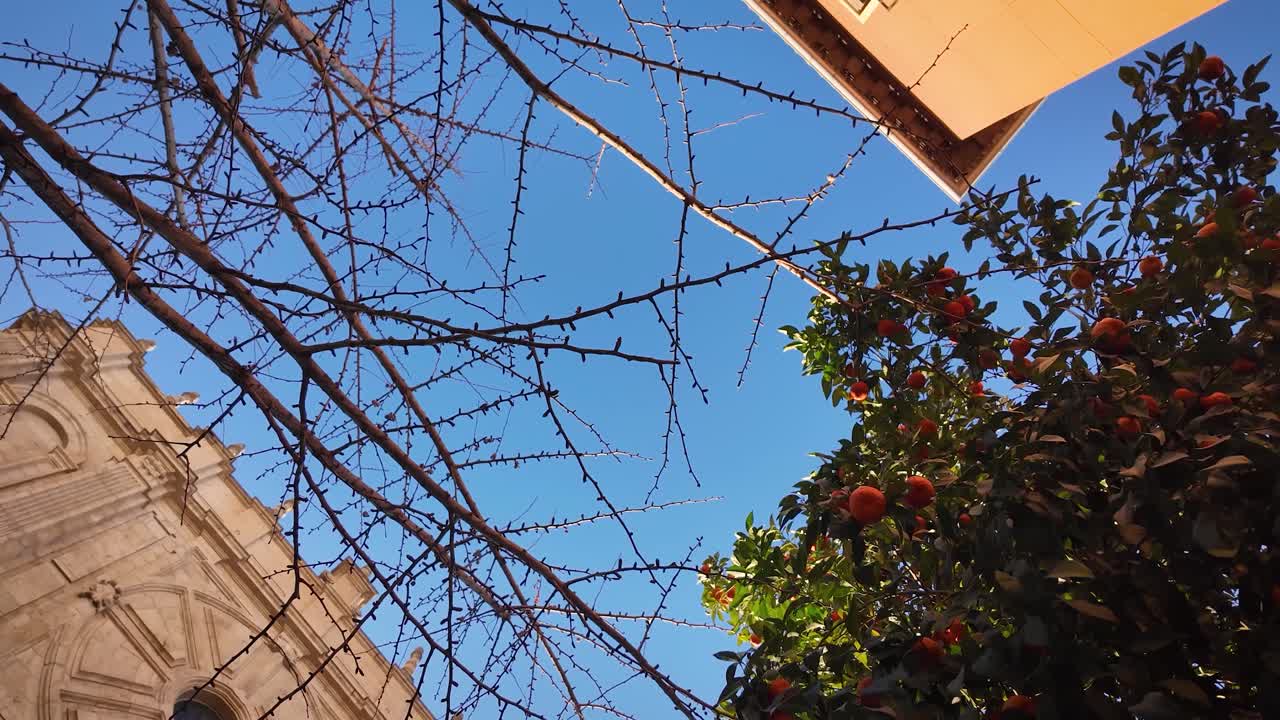 Static shot of the intersection of San Juan de Dios Street and San Jerónimo Street, featuring urban vegetation and the facade of the Sanctuary of Our Lady of Perpetual Help in Granada, Spain