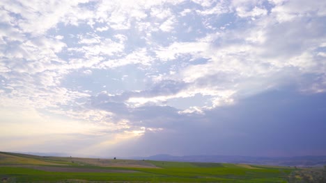 sky and field.