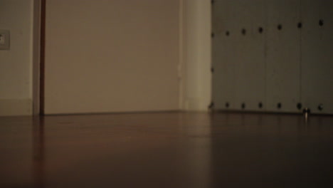 person walking in a room