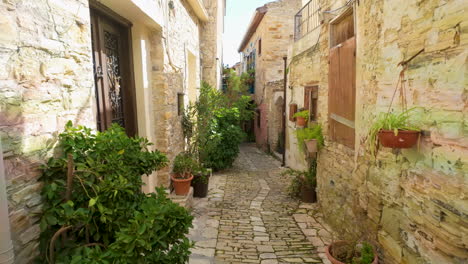 charming narrow street in lefkara village, cyprus, lined with traditional stone houses adorned with potted plants, leading through the historic center