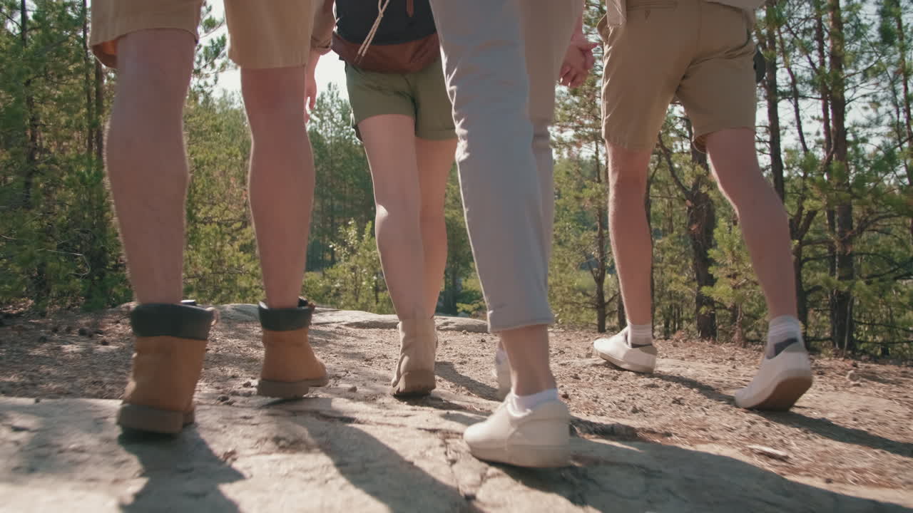 Unrecognizable People Hiking in Woods