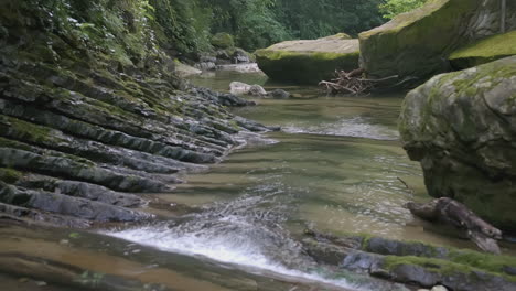 rocky stream in a lush forest